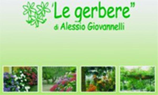 Le Gerbere Giardinaggio  - Foto 1