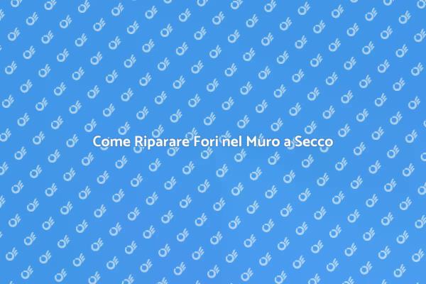 Ripara Fori nel Tuo Muro a Secco
