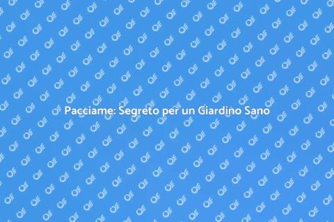 Il Potere del Pacciame nel Giardinaggio