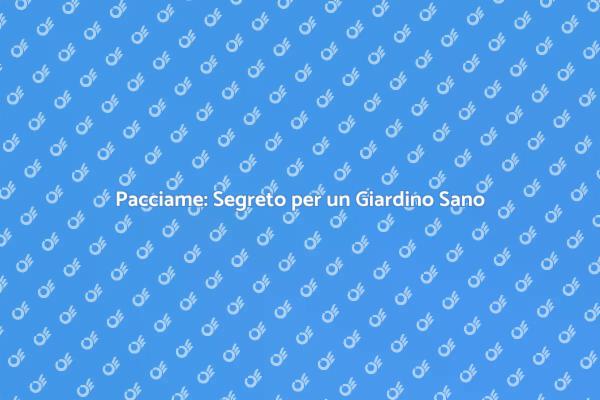 Scopri il Potere del Pacciame