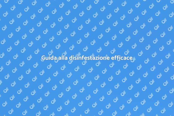 Disinfestazione: Proteggi la tua casa