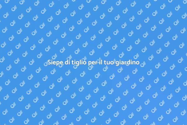 Come progettare una siepe di tiglio