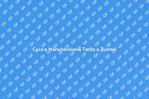 Manutenzione Tetto a Tunnel Essenziale