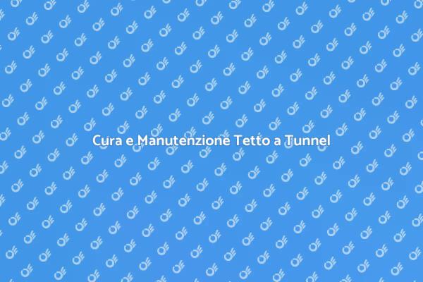 Manutenzione Essenziale del Tetto a Tunnel