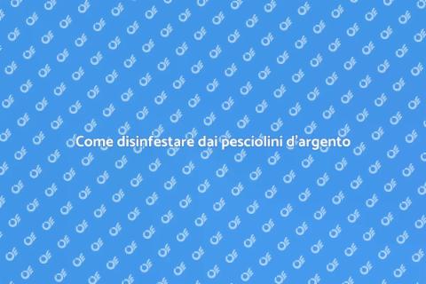 Disinfestazione pesciolini d'argento