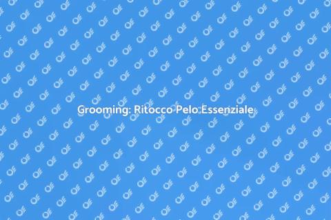 Ritoccare il Pelo: Toelettatura Perfetta