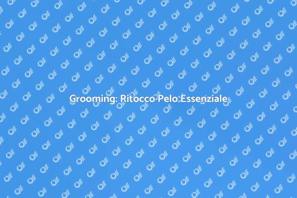 Toelettatura: Arte del Ritocco Pelo