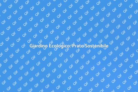 Prato Sostenibile e Ambiente Insieme