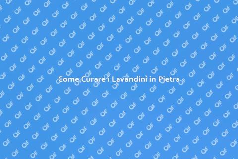 Lavandini in Pietra: Bellezza e Manutenzione