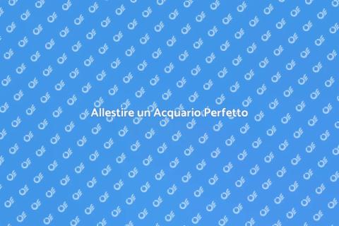Nuovo Acquario: Guida Completa