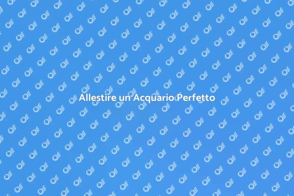 Crea il Tuo Acquario da Sogno