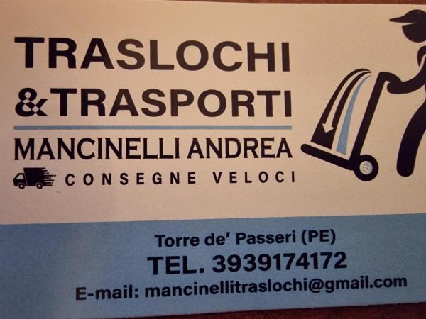 Mancinelli Andrea - Foto 1