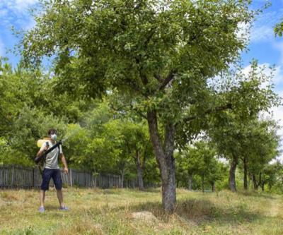 L'Igiene - Bonifiche Ambientali  - Foto 4
