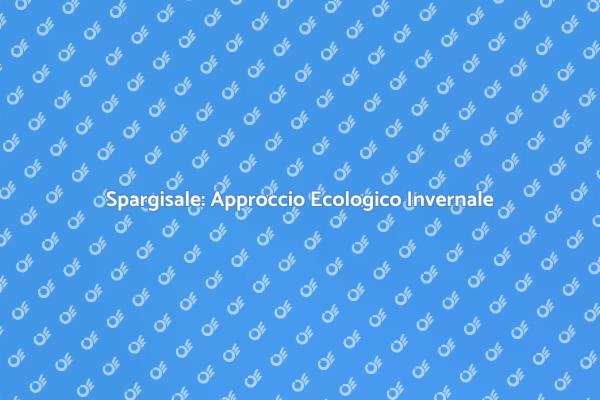 Spargisale: Sicurezza e Ambiente Insieme