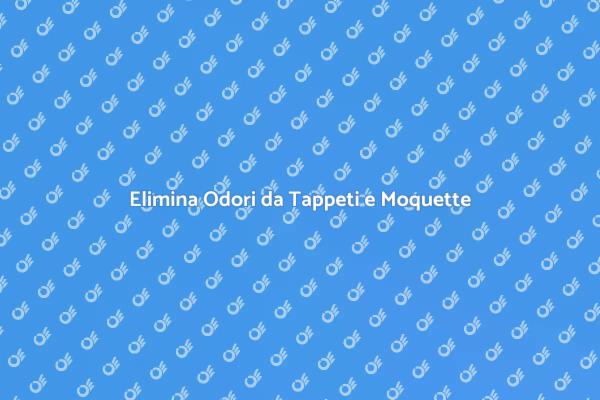 Come Eliminare Odori da Moquette