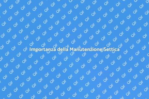 Manutenzione del Sistema Settico Essenziale