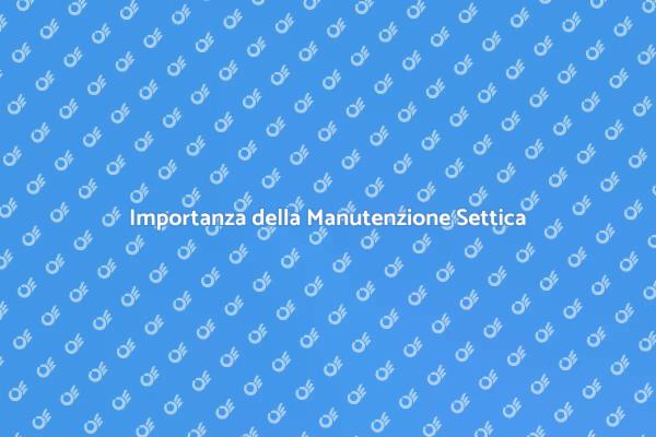 Salute della Tua Casa: Manutenzione Settica