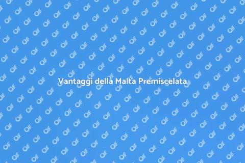 Malta Premiscelata: Innovazione Edile