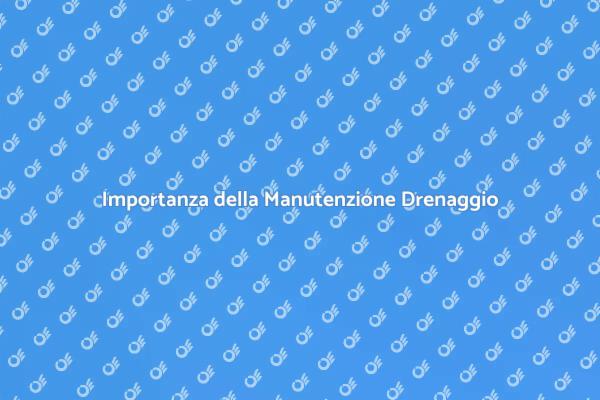 Manutenzione Canali: Proteggi la Tua Casa