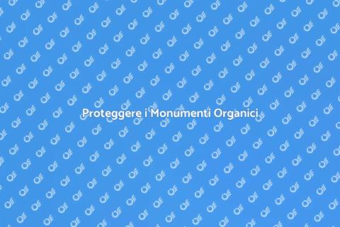 Impermeabilizzazione Monumenti Organici