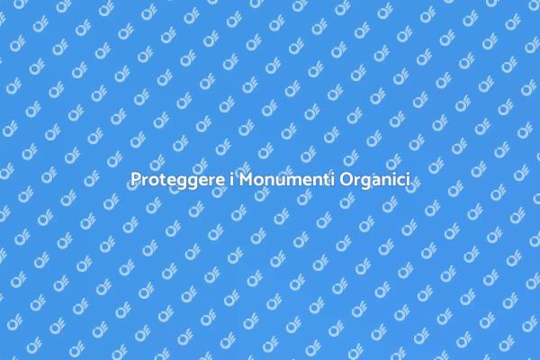 Conservazione dei Monumenti Organici