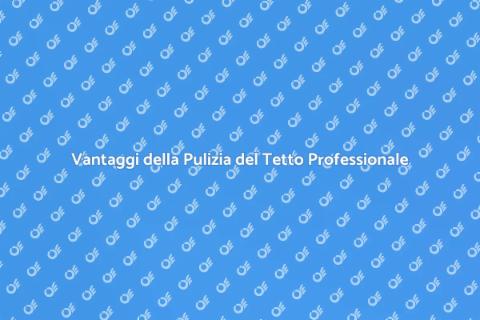 Pulizia Tetto: Ingaggia un Professionista
