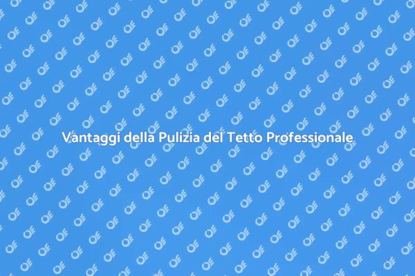 Perché Scegliere un Professionista per il Tetto
