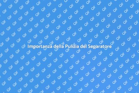 Pulizia Separatore di Grassi Essenziale