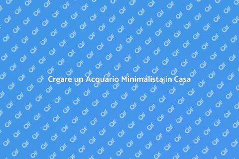 Acquario Minimalista: Serenità in Casa