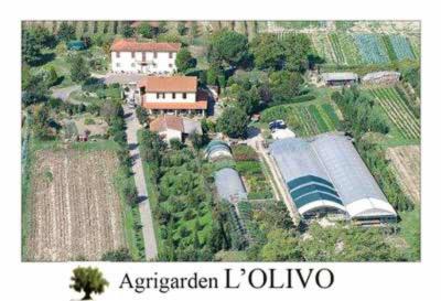 Agrigarden L'Olivo  - Foto 2