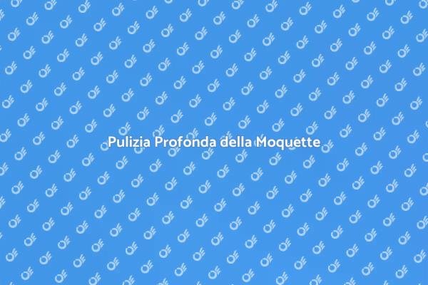 Importanza della Sanificazione della Moquette