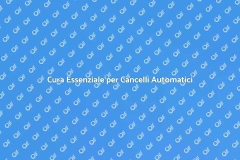 Manutenzione Cancello Automatico Essenziale