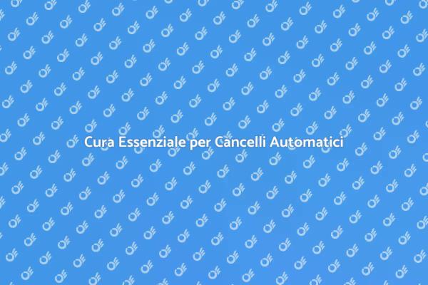 Manutenzione Cancello: Guida Necessaria