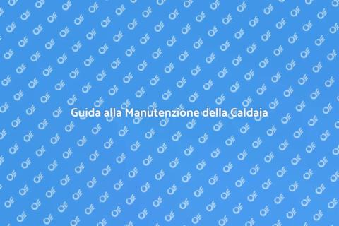 Manutenzione Caldaia Murale: Guida