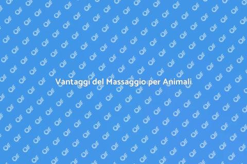 Massaggiatore Professionale per Animali