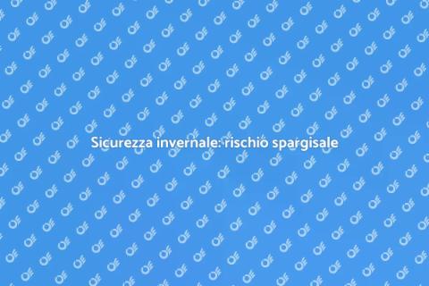Gestione rischio spargisale in inverno