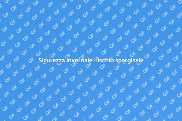 Rischio spargisale: sicurezza invernale