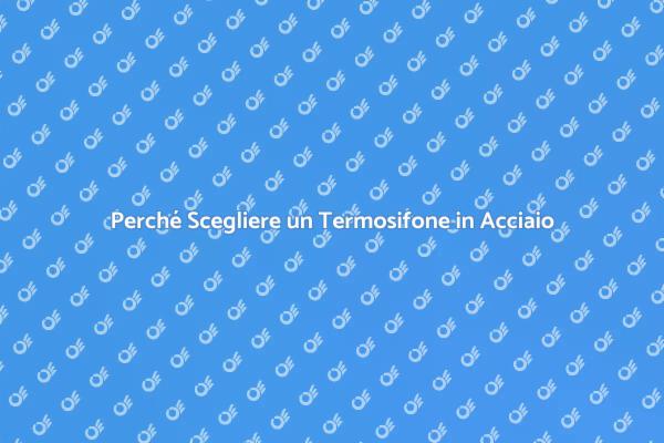 Termosifone in Acciaio: Efficienza e Stile