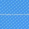 Termosifone in Acciaio: Efficienza e Stile