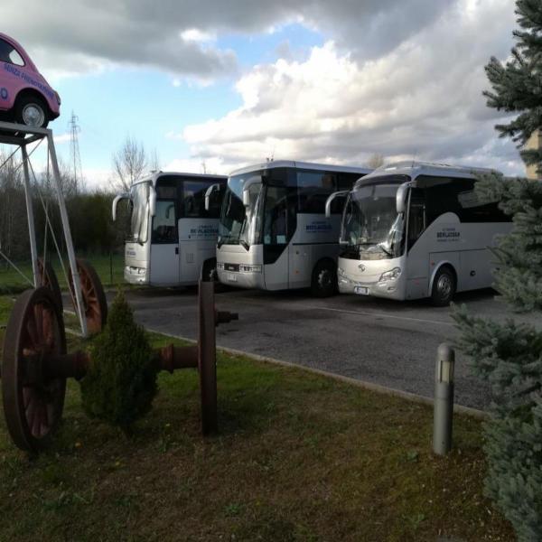 Autoservizi Bevilacqua  - Foto 5