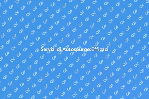 Efficiente Autospurgo per Fognature