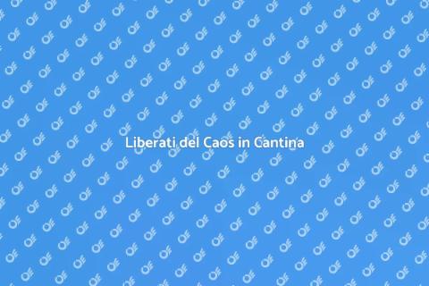 Svuotare Cantine Senza Stress