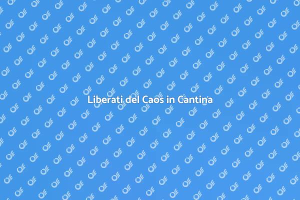 Sgombero Cantine Facile e Veloce