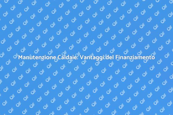 Manutenzione Caldaie a Gas: Come Finanziarla
