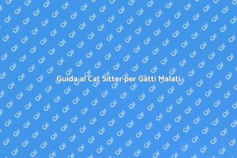 Cat Sitter Esperto per Gatti Malati