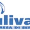 Pulivax Disinfestazioni Brindisi 