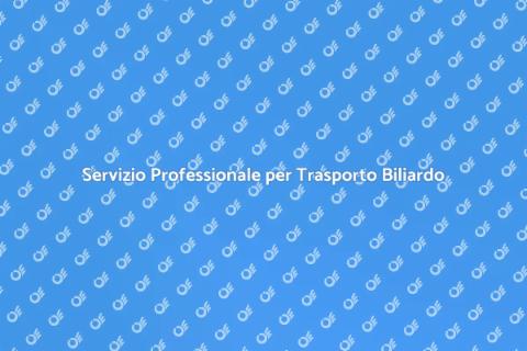 Trasporto Biliardo: Eleganza e Sicurezza