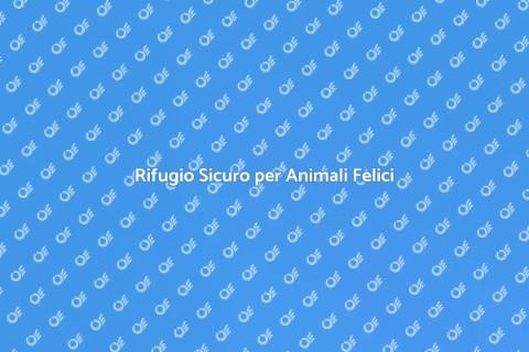 Pensione per Animali: Cura e Benessere