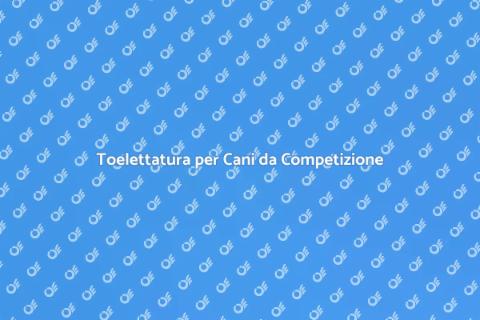 Toelettatura per Cani da Sfilata