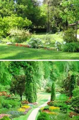 Verdi Giardini  - Foto 1